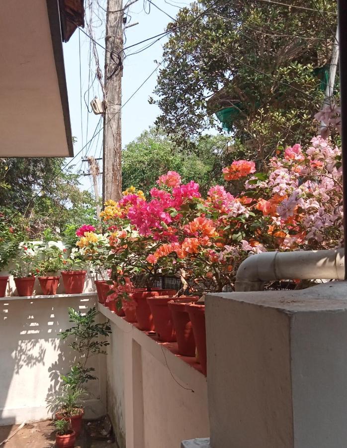 Padamadan * Kochi